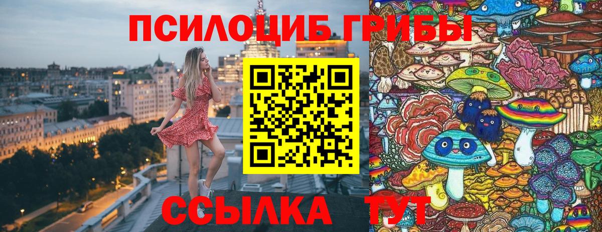 как найти   Вход с VPN  Димитровград  Псилоцибиновые грибы мицелий  Псилоцибиновые грибы Psilocybine cubensis 