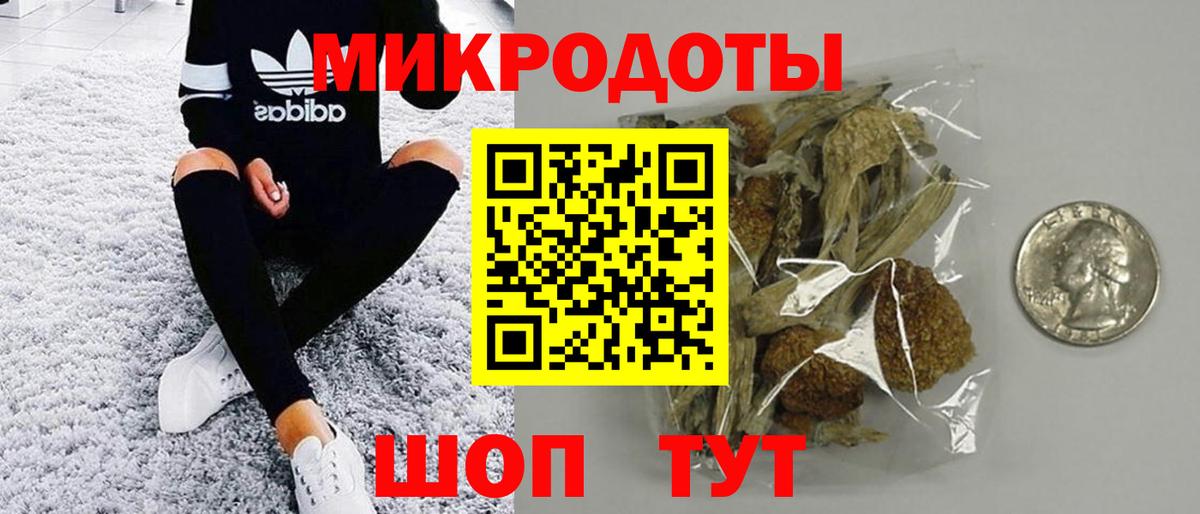 Псилоцибиновые грибы Psilocybe Димитровград