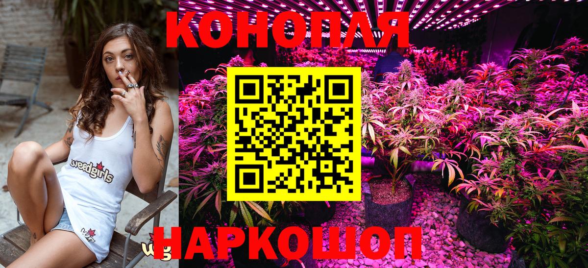 Шишки марихуана план Димитровград